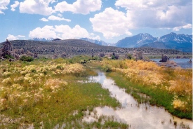 Mono Lake